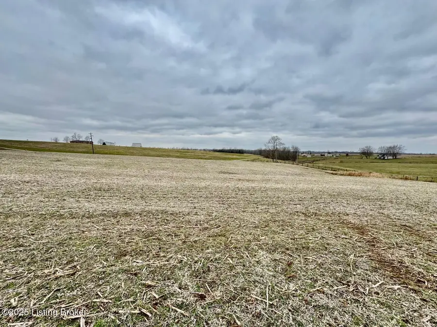 290 Mattingly Ln, Springfield, KY 40069 - Image #3