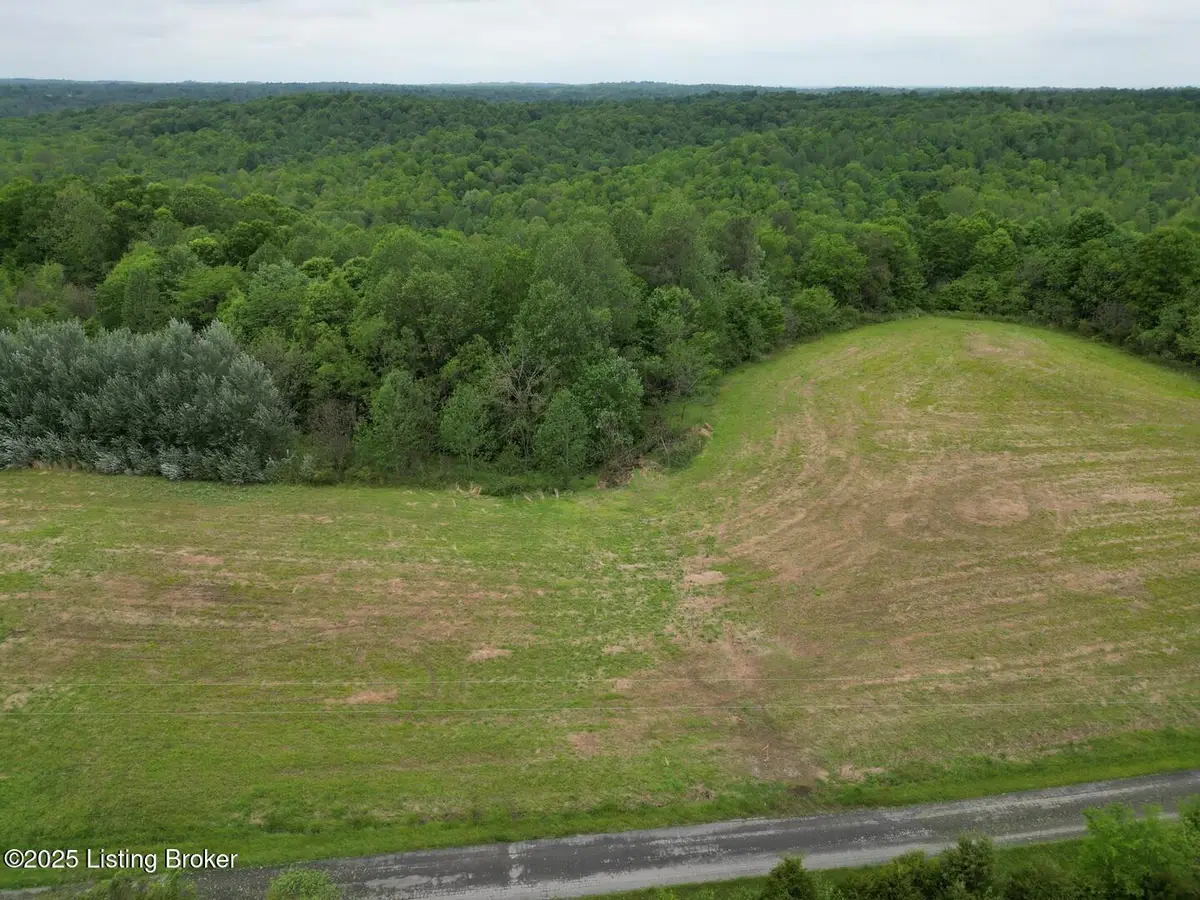 Lot 15 Duvall Rd, Caneyville, KY 42721 - #1
