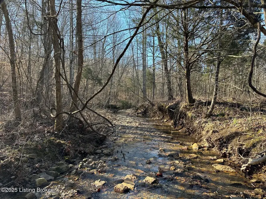 Lot 15 Duvall Rd, Caneyville, KY 42721 - #3