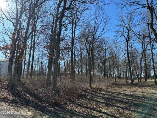 14 Buck Knobs Rd, Ekron, KY 40117