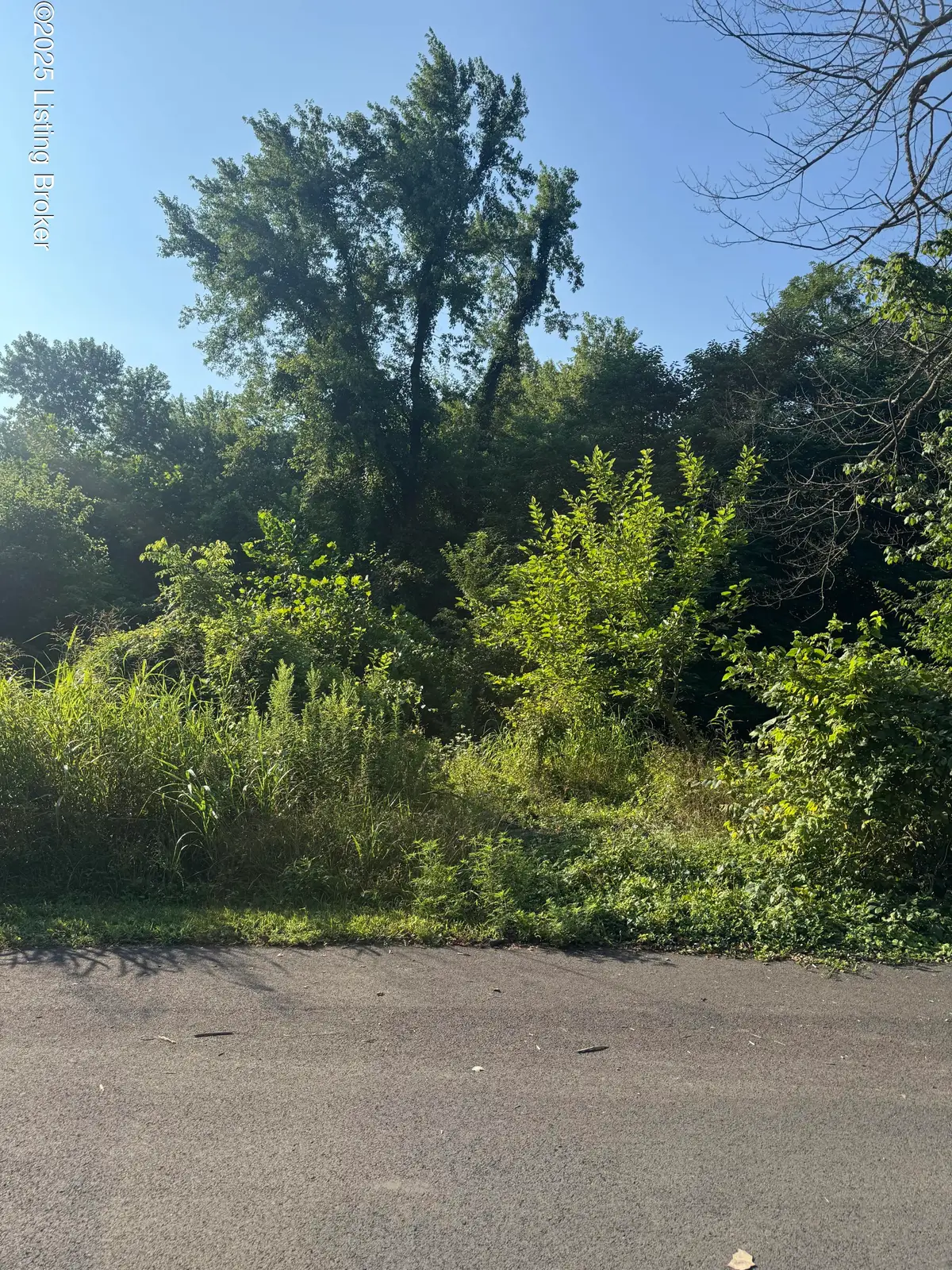 5003 Overbrook Dr, Louisville, KY 40216 - Image #1