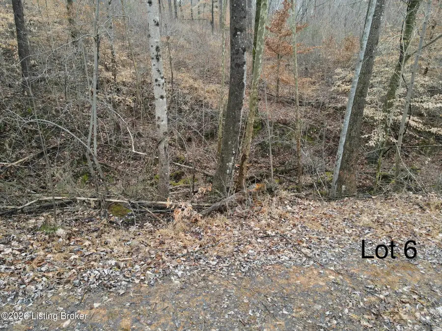 111 Barton Point Rd, Clarkson, KY 42726 - #3