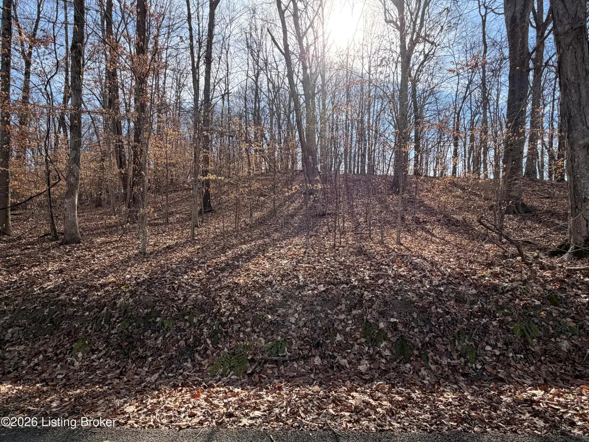 0-3 Noah Stevenson Rd, Bee Spring, KY 42207 - #1