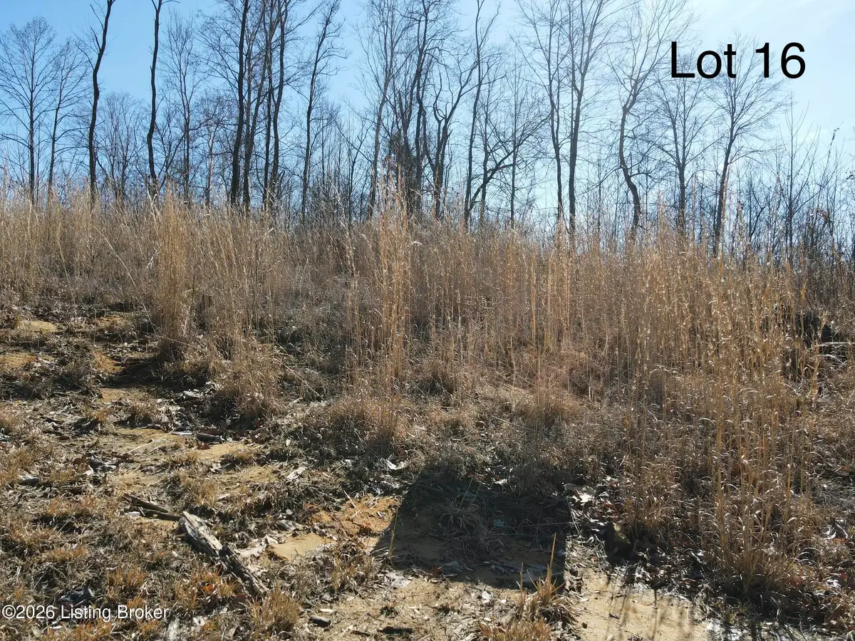 563 Gunner Rd, Clarkson, KY 42726 - #1