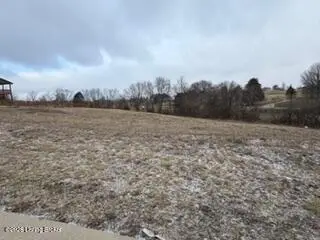 11 Sparrow Ln, Fisherville, KY 40023