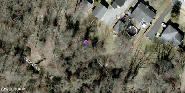 325 Camelia Ave, Lyndon, KY 40222