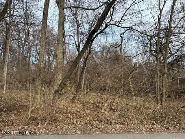 841 Fountain Ave, Louisville, KY 40222 - #3