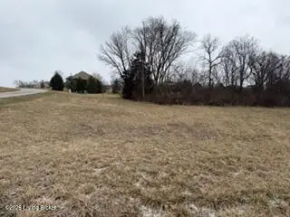 75 Kingsmill Dr, Fisherville, KY 40023 - #3