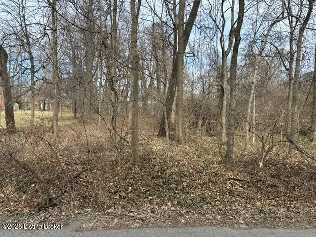 843 Fountain Ave, Louisville, KY 40222 - #2