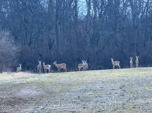 1816 Hinkle Ln, Shelbyville, KY 40065 - #2