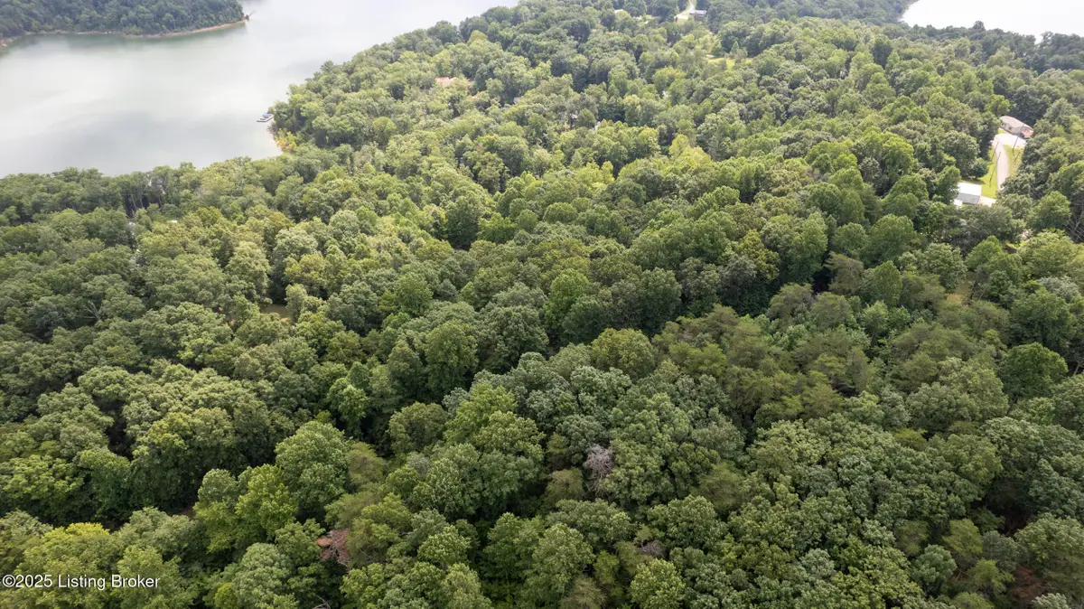 7 Vanmeter Cemetery Rd, Bee Spring, KY 42207 - #1