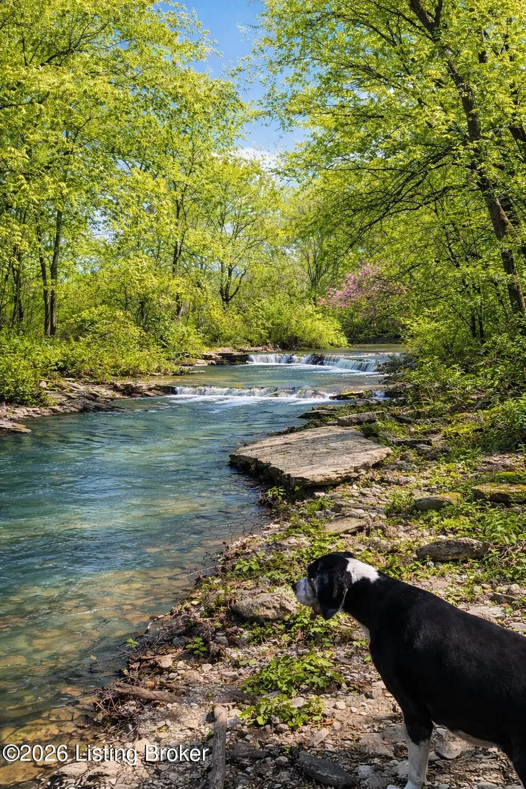 2325 Pattons Creek Rd, Pendleton, KY 40055 - #1