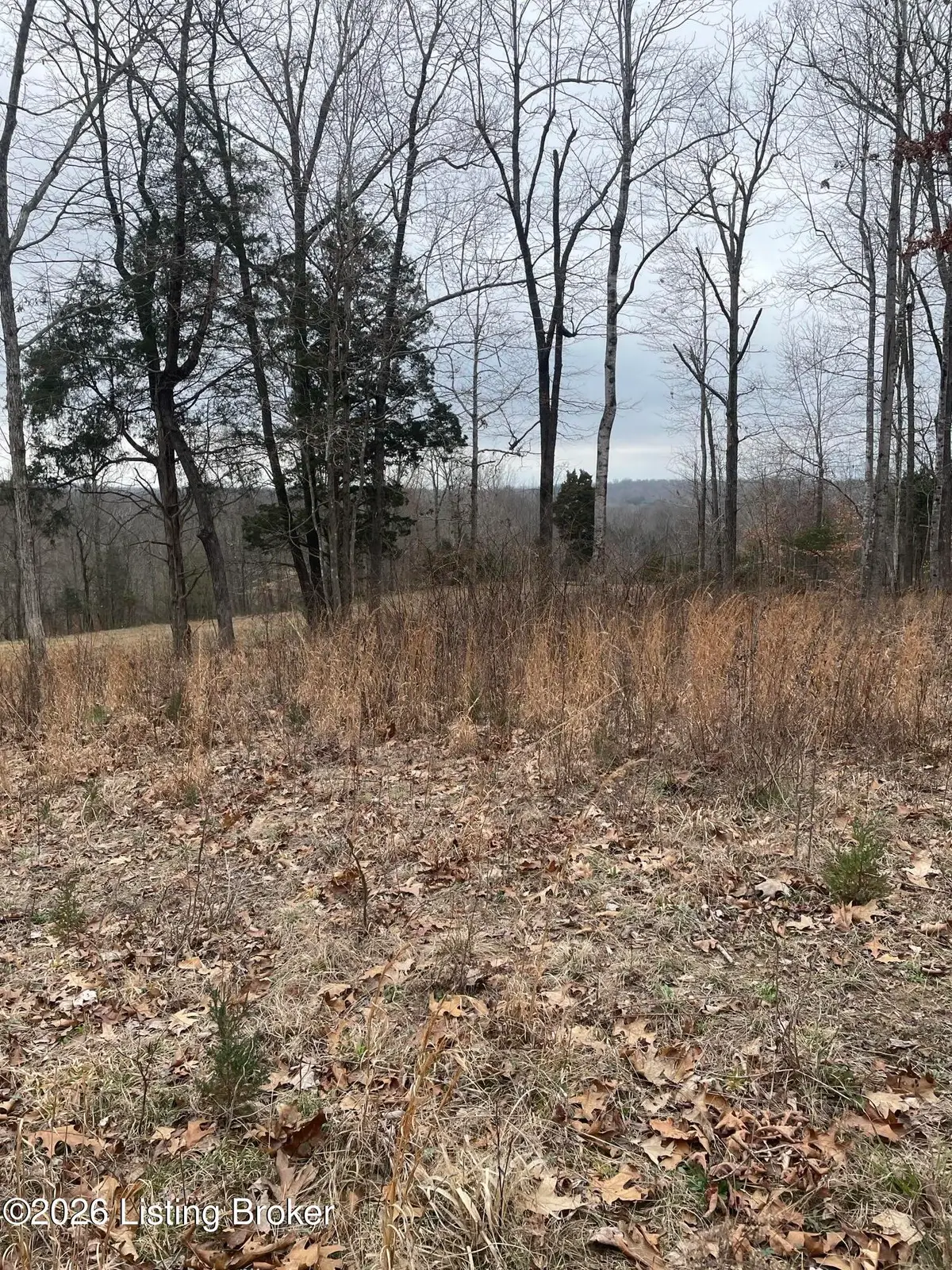 0 Sylvan Circle, Leitchfield, KY 42754 - #1