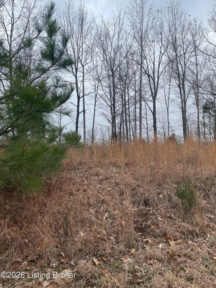 0 Sylvan Circle, Leitchfield, KY 42754 - #3