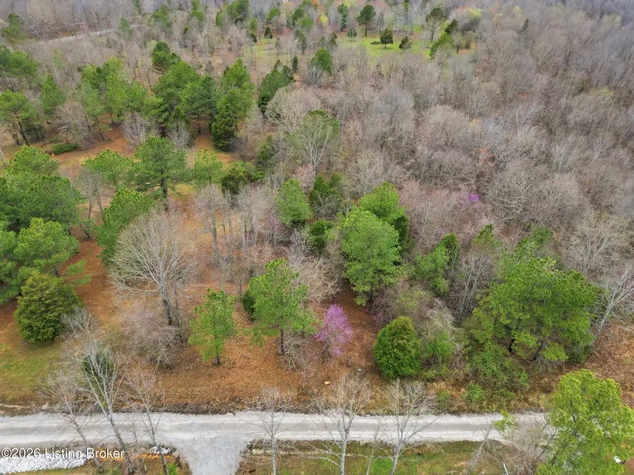Lot 10 Pine Trail, Leitchfield, KY 42754 - #3