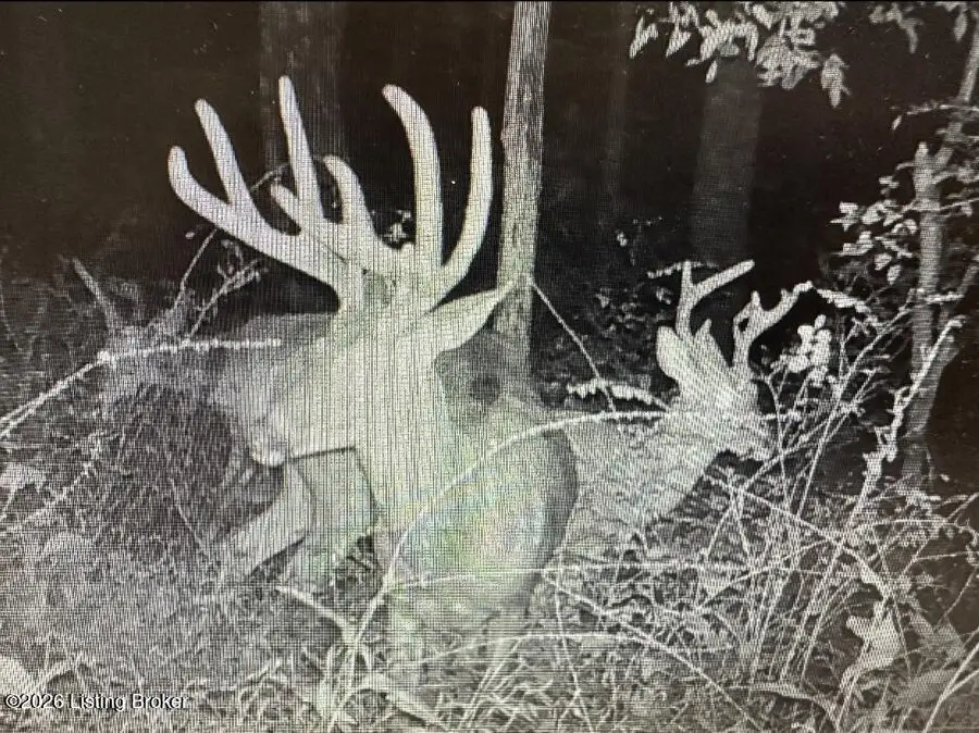 0 Minter Ln #000, Custer, KY 40115 - #3