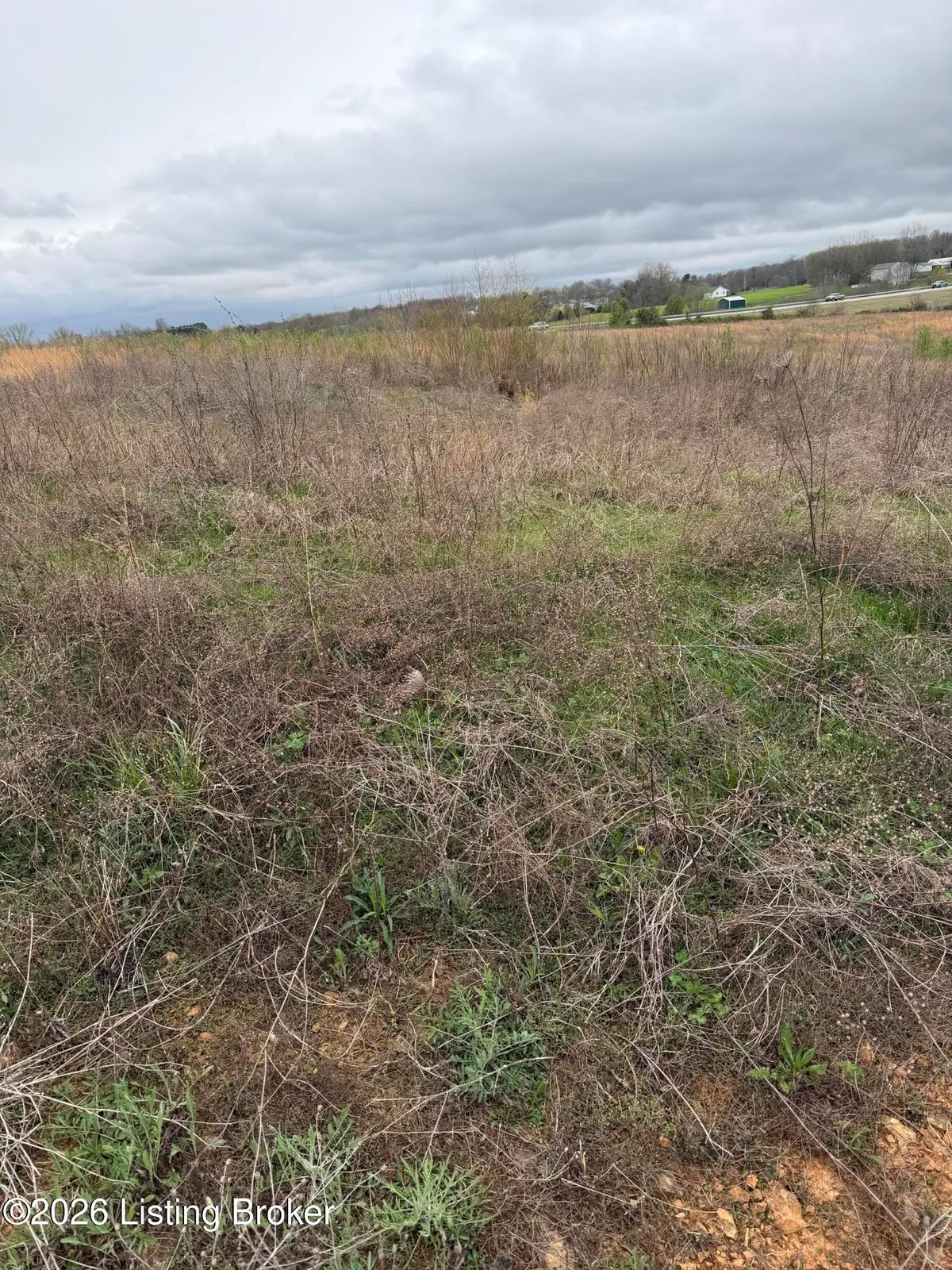 121 Diamond Ct, Vine Grove, KY 40175 - #1