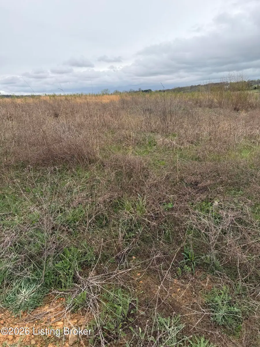 121 Diamond Ct, Vine Grove, KY 40175 - #2