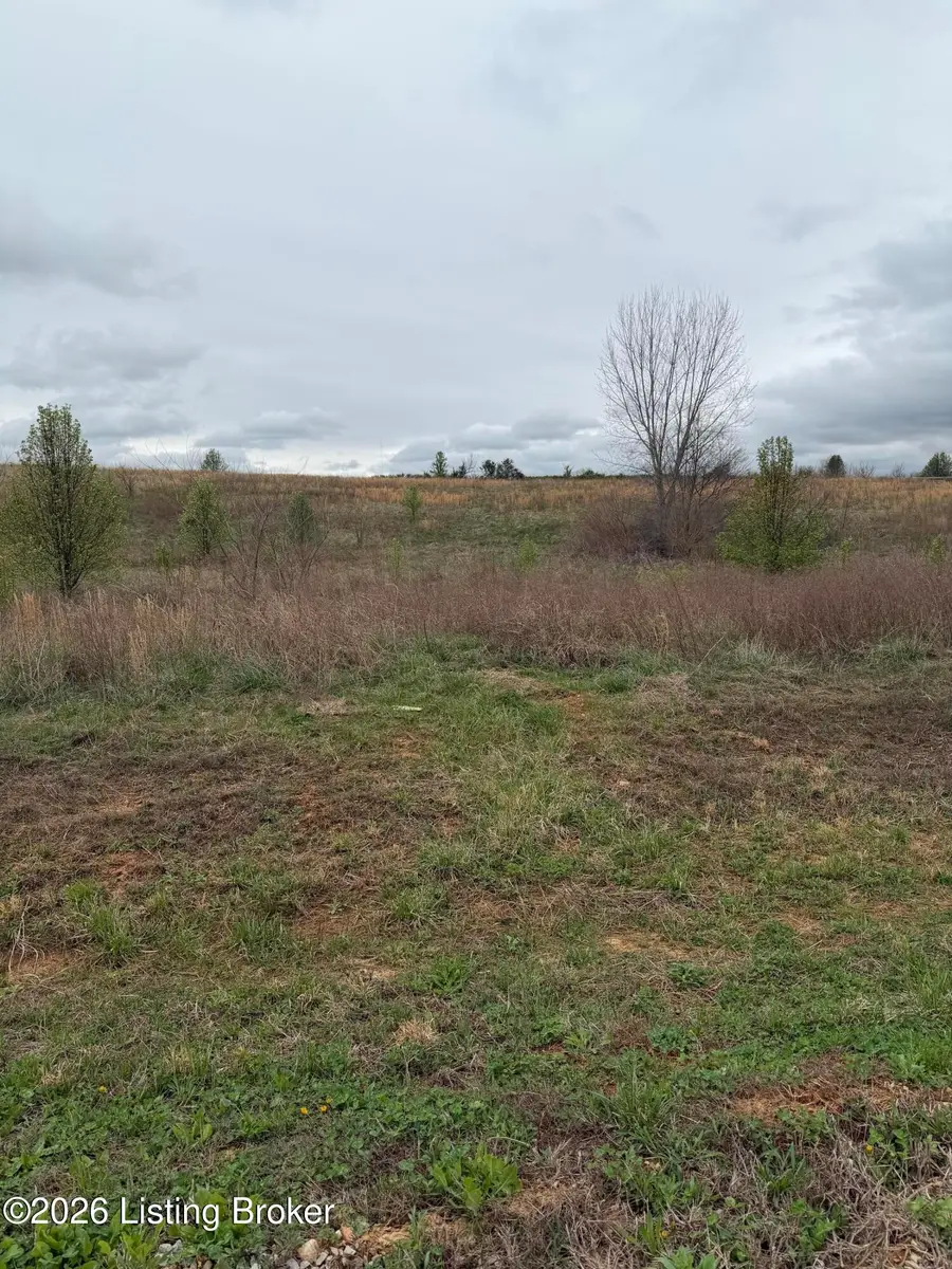 177 Diamond Ct, Vine Grove, KY 40175 - #2