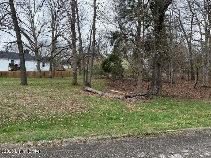 Lot 90 Overlook Terrace, Doe Valley, KY 40108 - #3