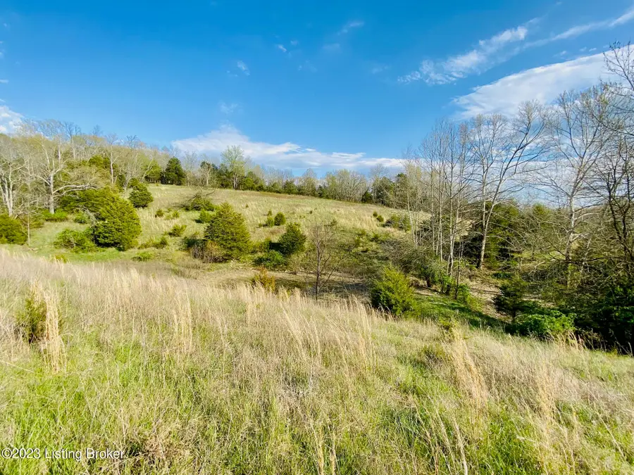 2050 E Fork Rd, Mackville, KY 40040 - #3