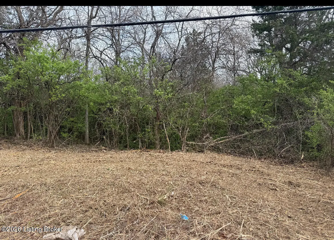 2303 Zhale Smith Rd, La Grange, KY 40031 - #1