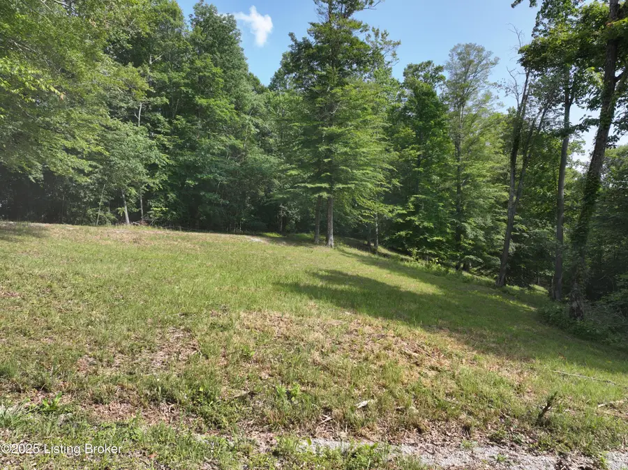 Lot 18 Chestnut Hills Rd, Burkesville, KY 42717 - #3