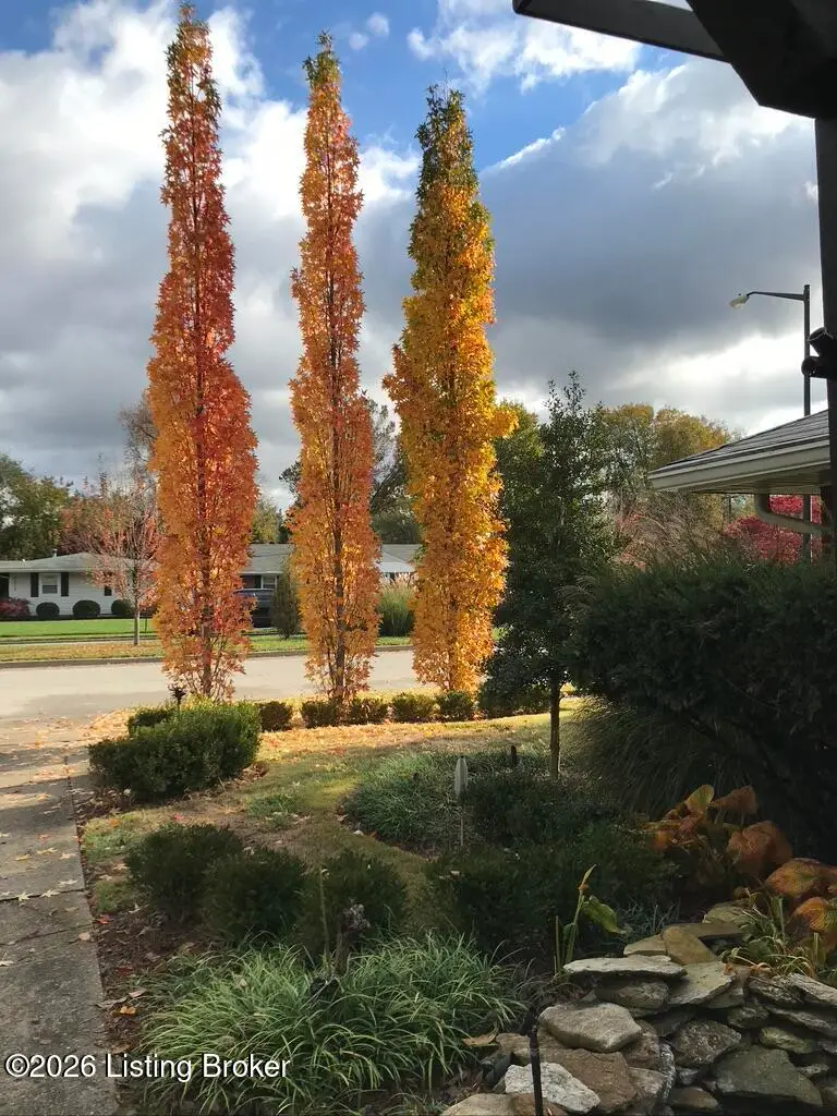 3012 Furman Blvd, Louisville, KY 40220 - #3