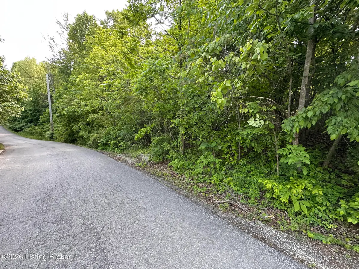 Lot 114 Rainbow Gardens Lane Ln, McDaniels, KY 40152 - #1