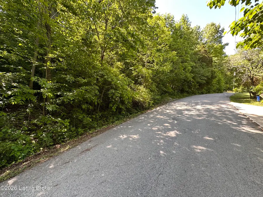 Lot 114 Rainbow Gardens Lane Ln, McDaniels, KY 40152 - #2