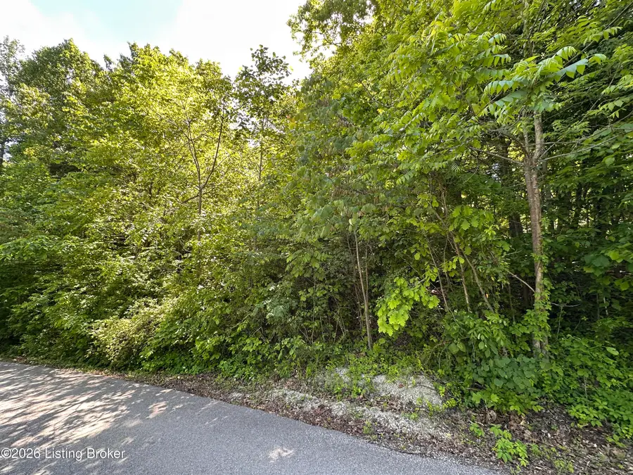 Lot 114 Rainbow Gardens Lane Ln, McDaniels, KY 40152 - #3