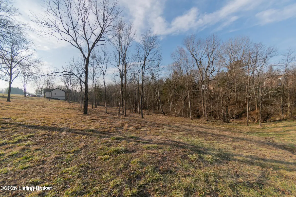 46 Sarah Elizabeth Way, Taylorsville, KY 40071 - #1