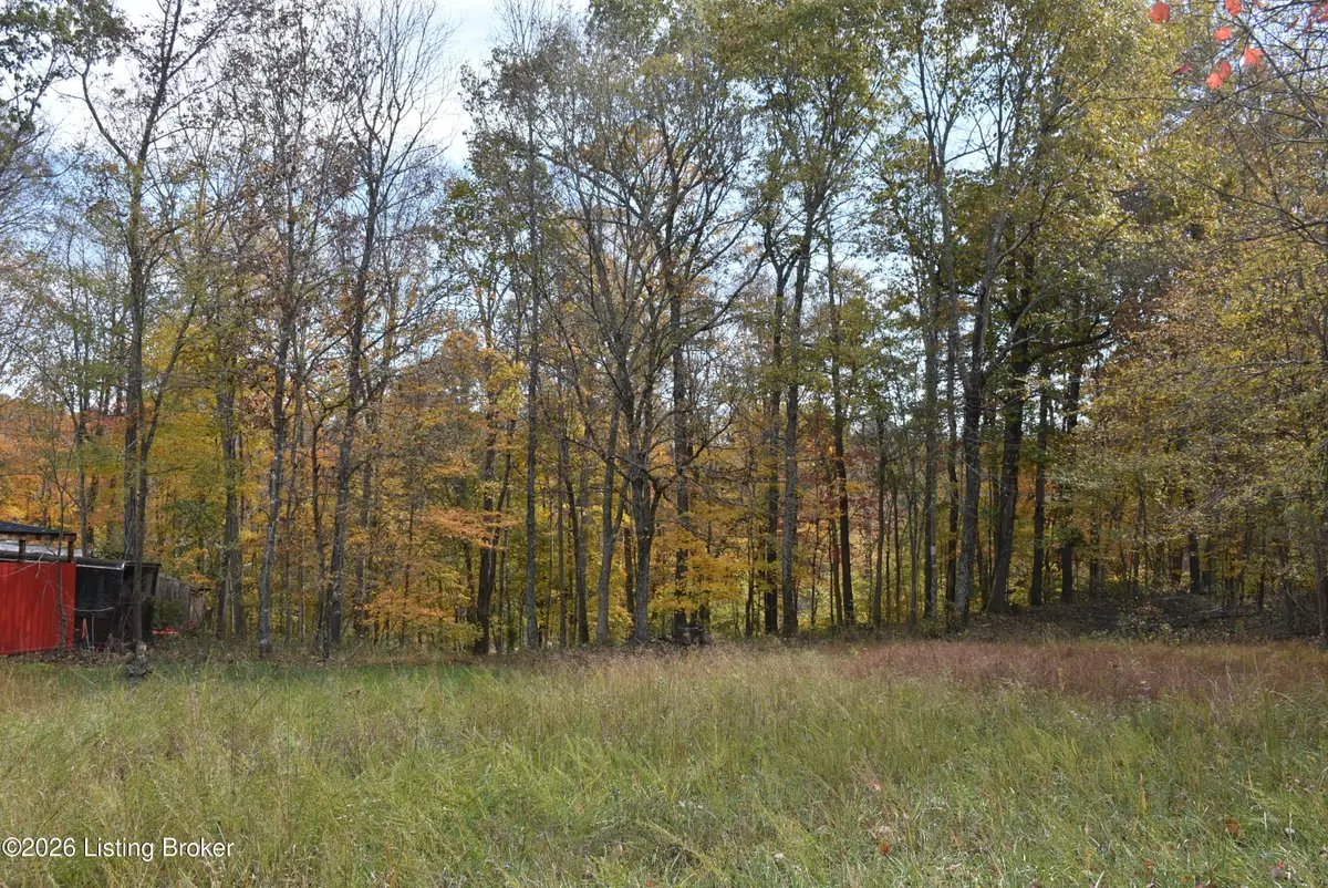 17 Fox Cliff Rd, Leitchfield, KY 42754 - #1