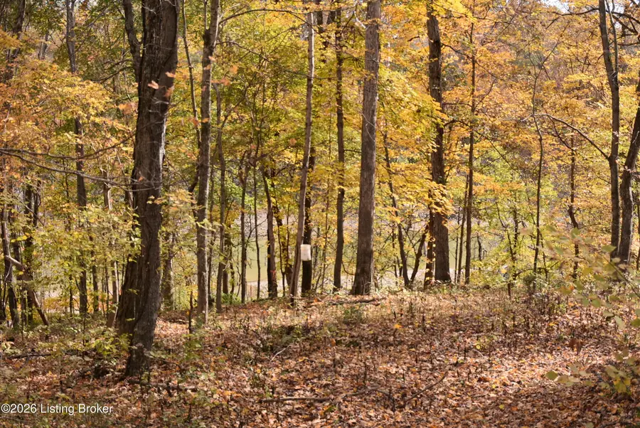 17 Fox Cliff Rd, Leitchfield, KY 42754 - #3