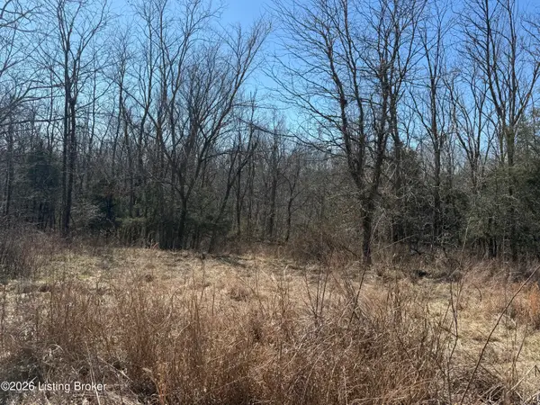 1 Landings Ct, Willisburg, KY 40078