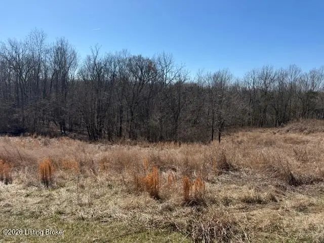 7 Landings Ct, Willisburg, KY 40078 - #1