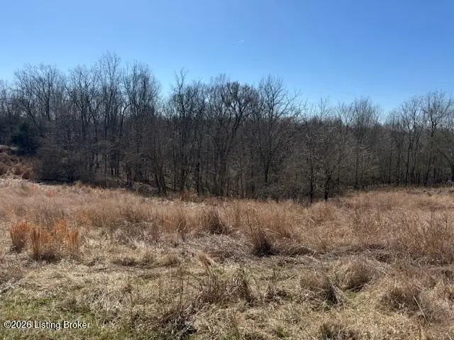 7 Landings Ct, Willisburg, KY 40078 - #2