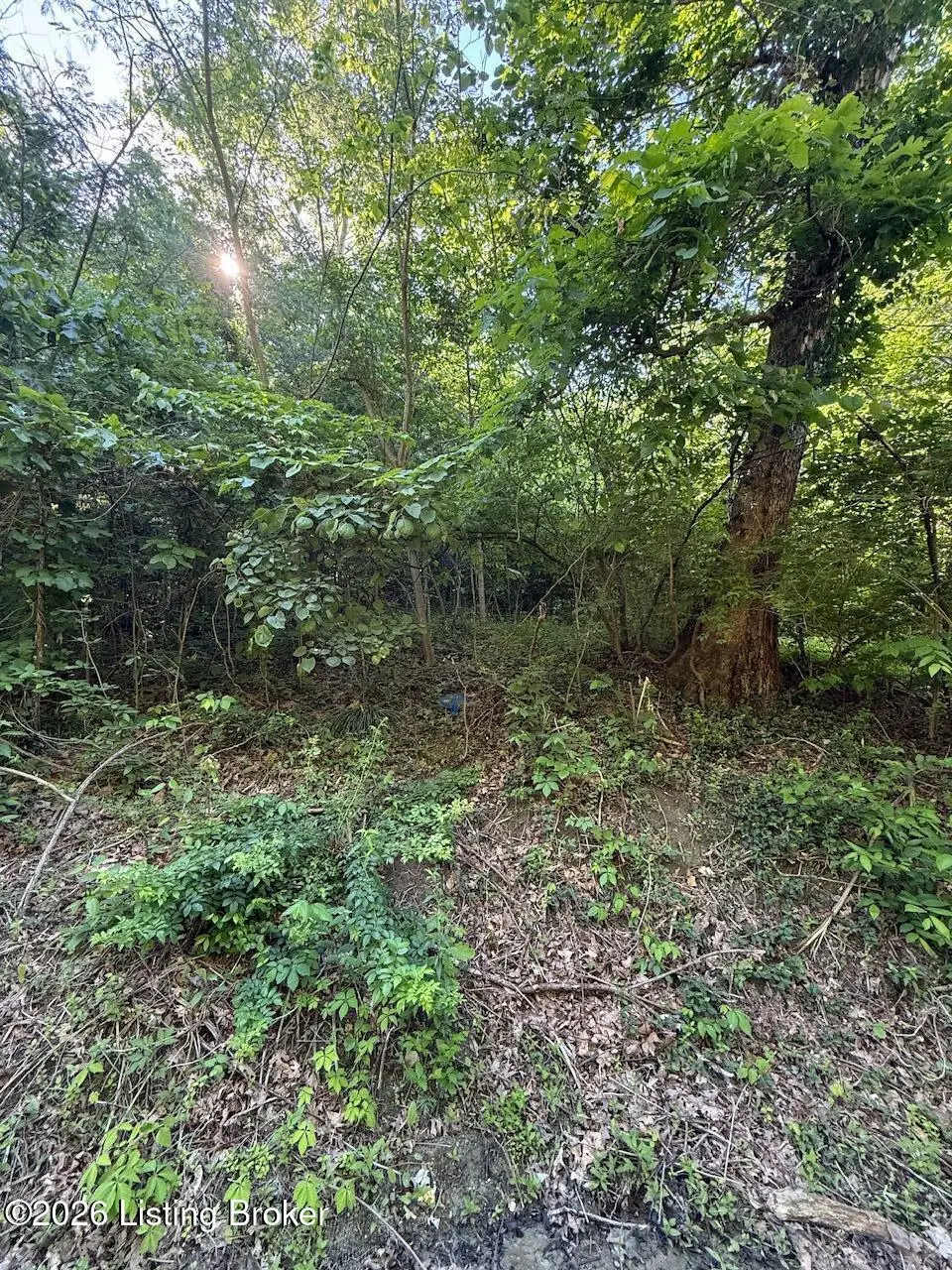 2502 Blevins Gap Rd, Louisville, KY 40272 - #1