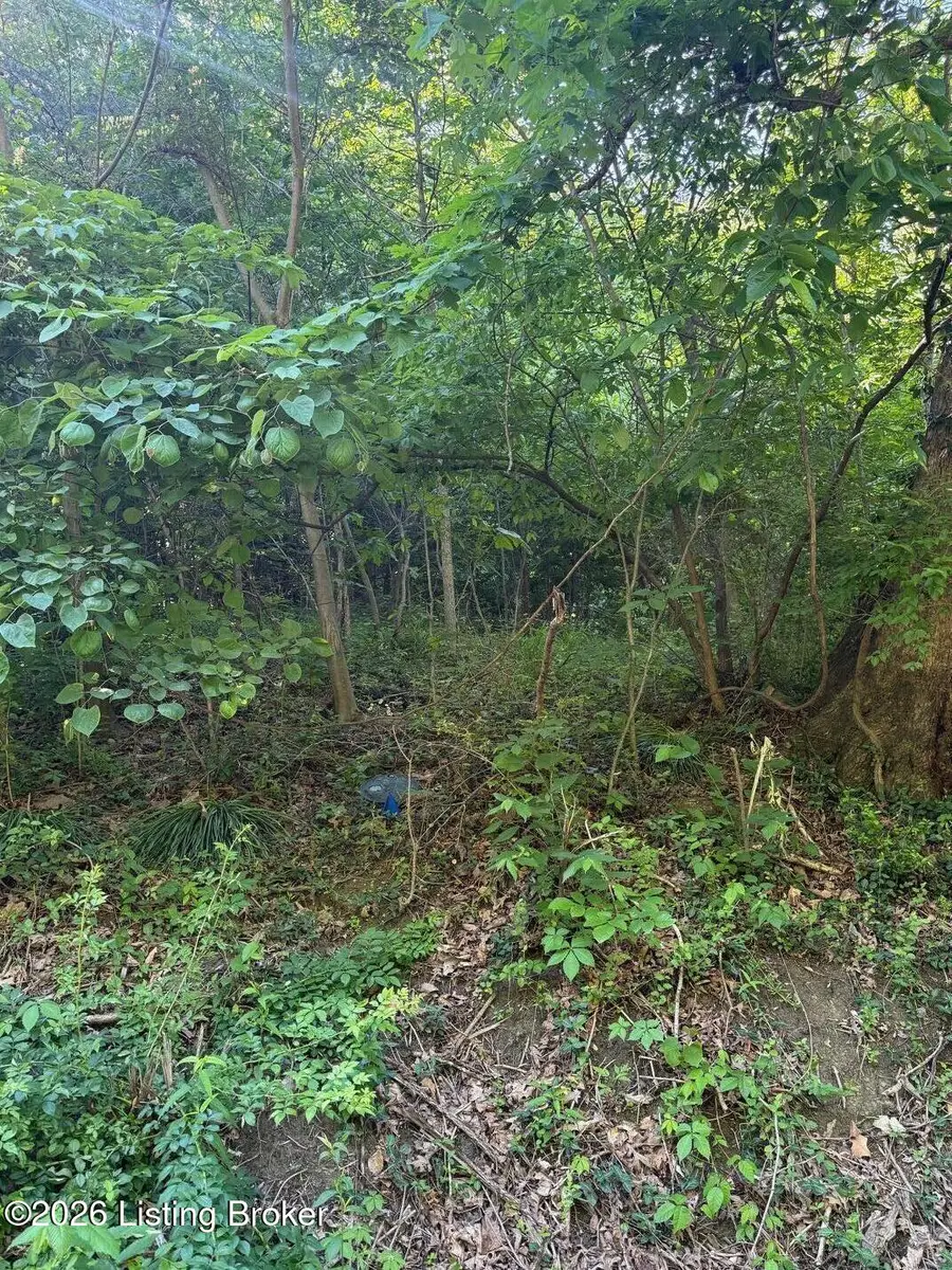 2502 Blevins Gap Rd, Louisville, KY 40272 - #2