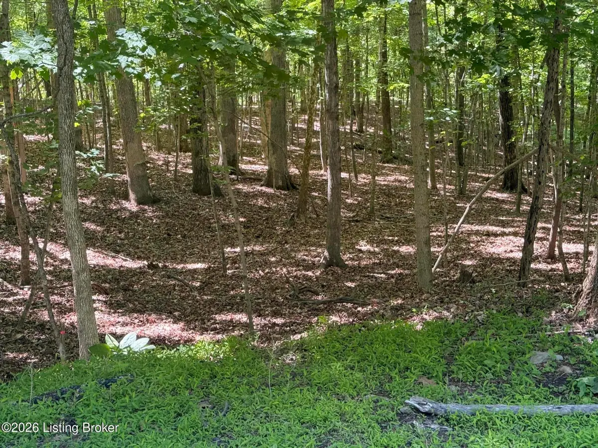 Lot 569 Raspberry Ct, Brandenburg, KY 40108 - #1
