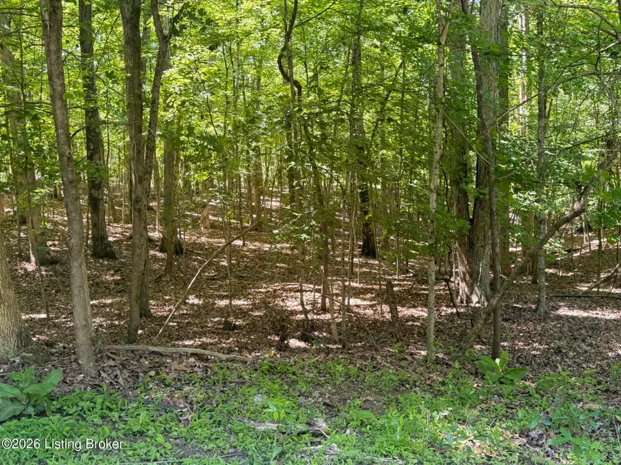 Lot 569 Raspberry Ct, Brandenburg, KY 40108 - #2