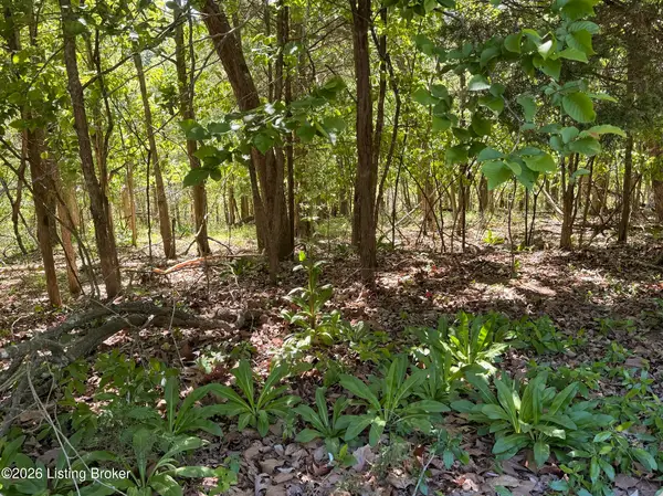 Lot 301 Woodview Dr, Brandenburg, KY 40108