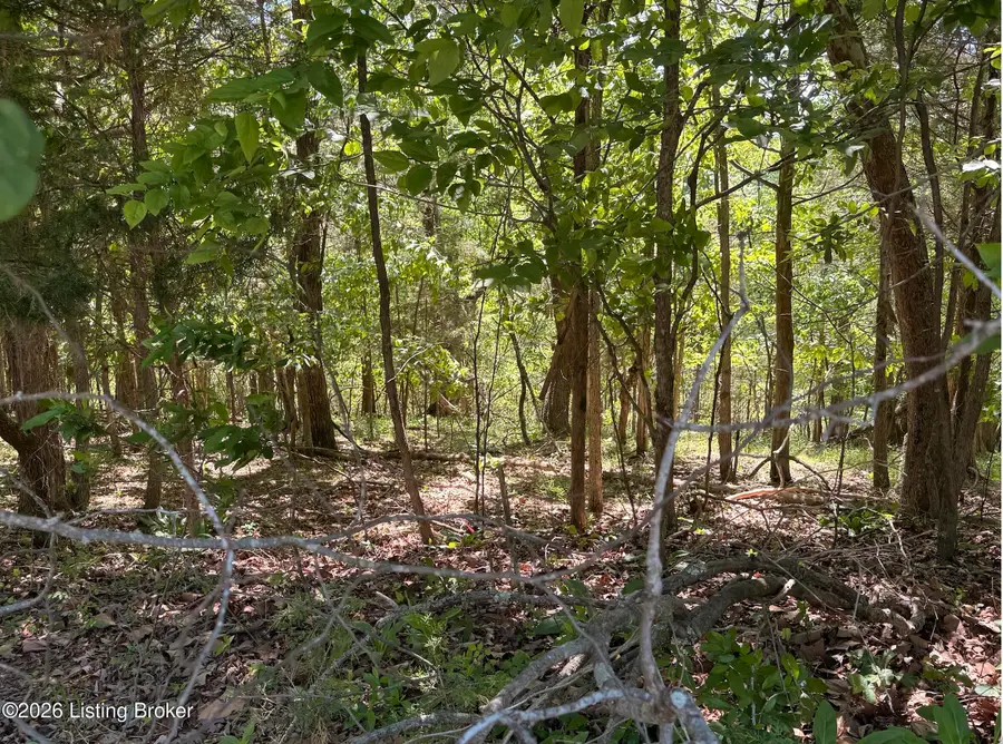 Lot 301 Woodview Dr, Brandenburg, KY 40108 - #2