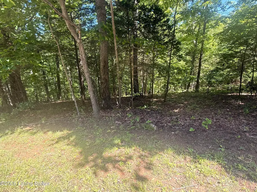 Lot 811 Trillium Ct, Brandenburg, KY 40108 - #2