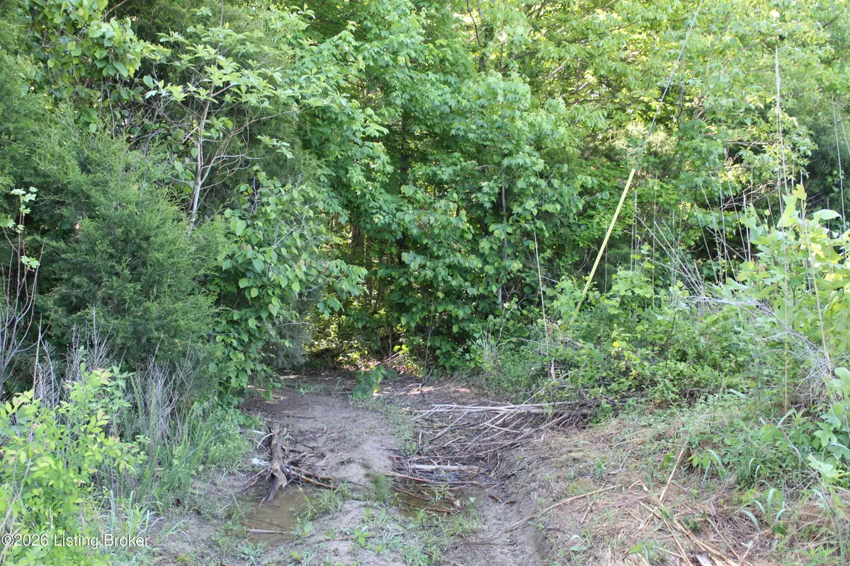 0 Ditney Hill Rd, Drakesboro, KY 42337 - #1
