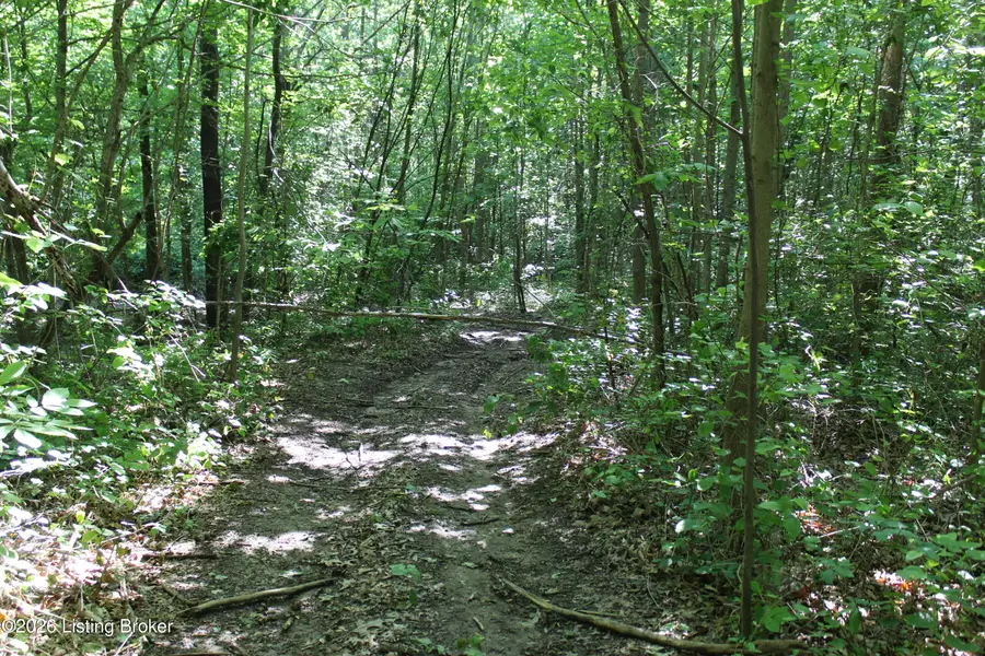 0 Ditney Hill Rd, Drakesboro, KY 42337 - #3