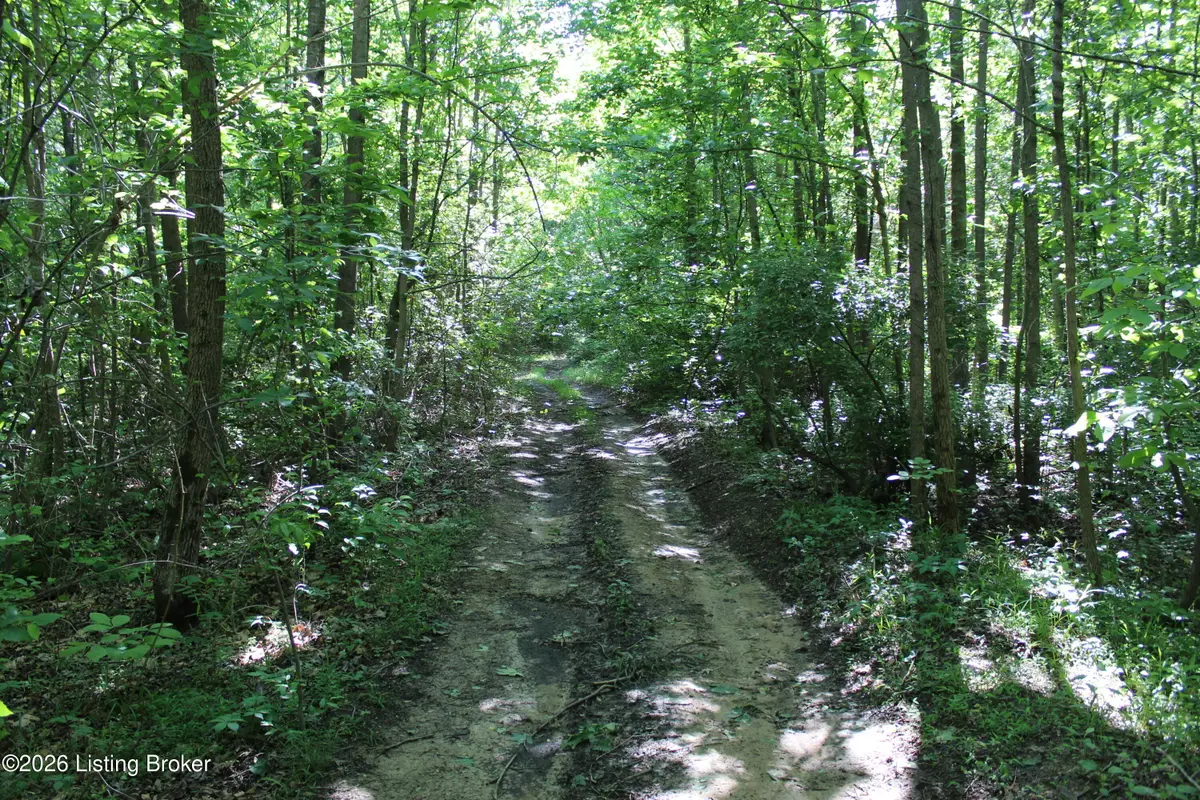 1 Ditney Hill Rd, Drakesboro, KY 42337 - #1