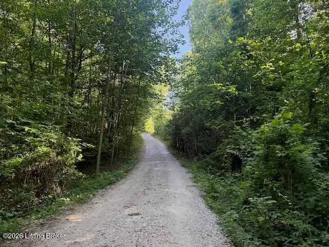 725 Christian Church Rd, Brandenburg, KY 40108 - #3