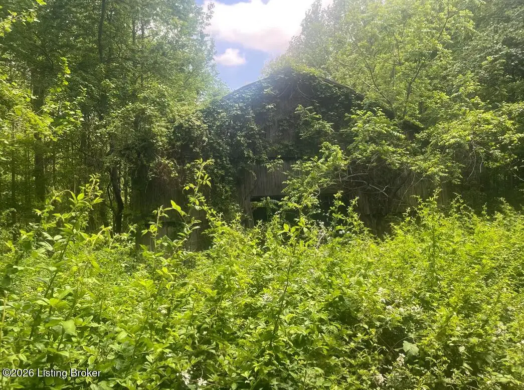 449 Doug Thompson Rd, Lebanon, KY 40033 - #1
