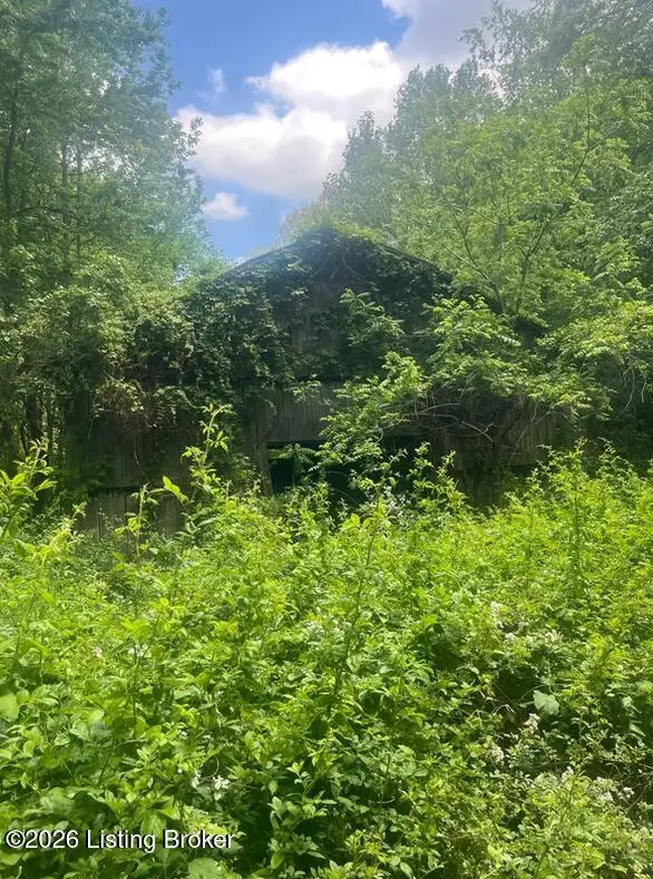 449 Doug Thompson Rd, Lebanon, KY 40033 - #2